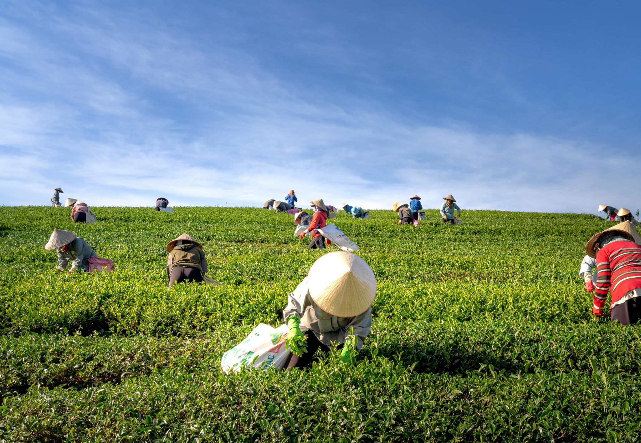 Empowering Agri-Tech & Financial Inclusion